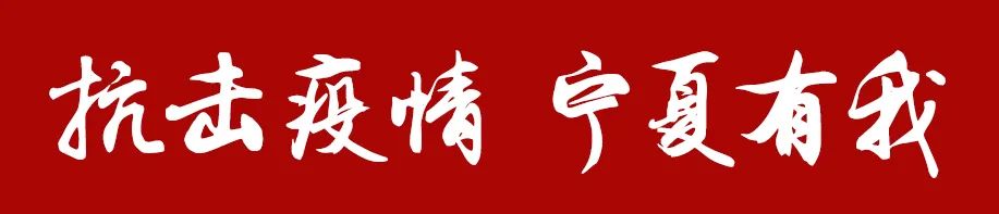 被困的春天，夜色里的摩天轮静静转动