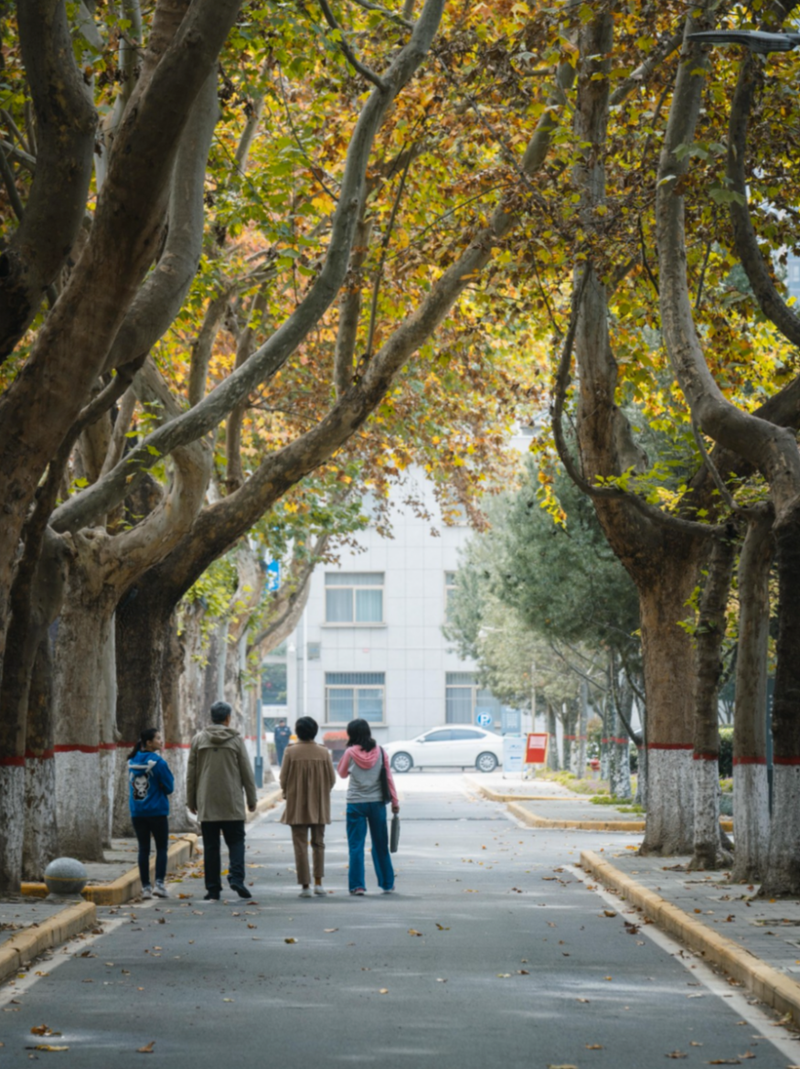 黄埔大学图片