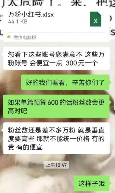 300块，除了给冠希哥转账，还能买一篇小红书万粉软文