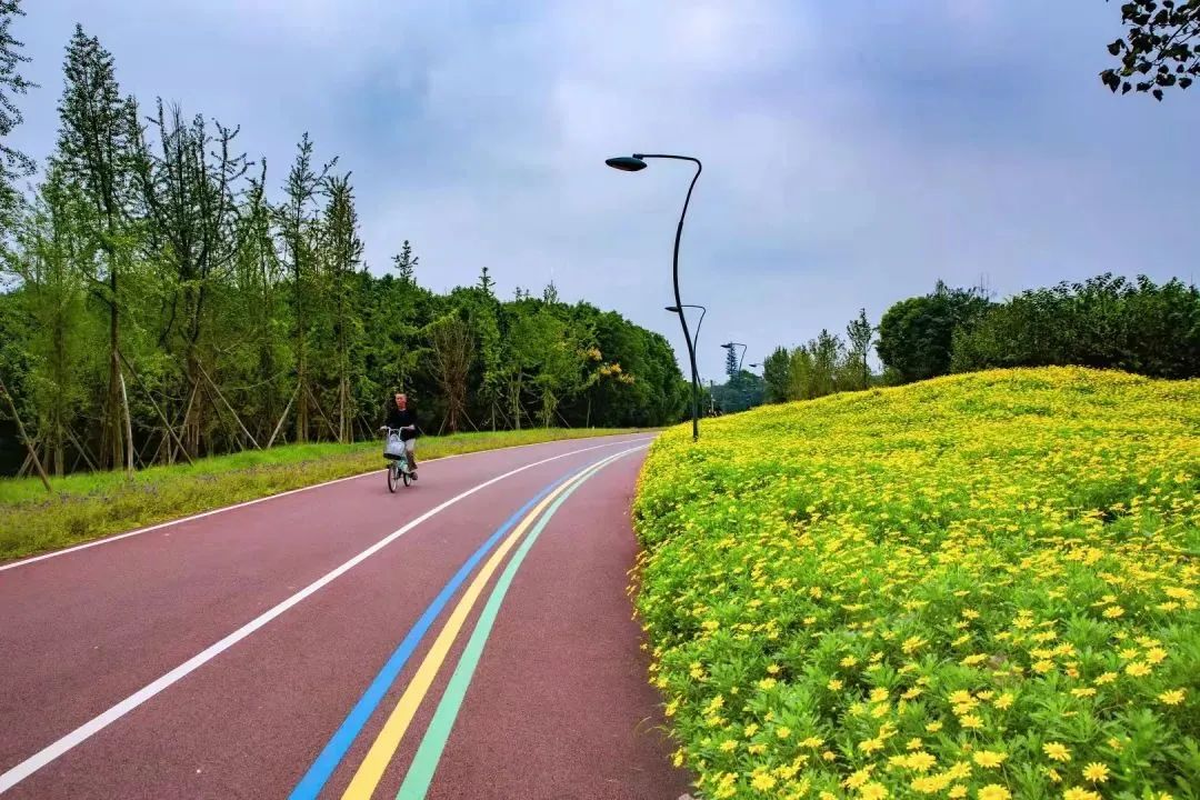 成都市旅游局,成都市旅游局局长