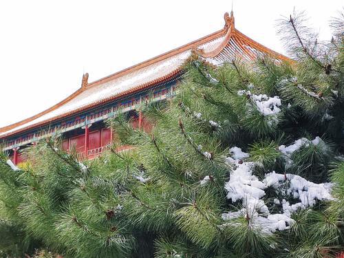 多图｜春雪过后的北京景色有多美？一起来看