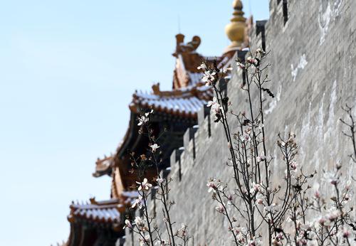 多图｜春雪过后的北京景色有多美？一起来看