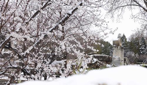 多图｜春雪过后的北京景色有多美？一起来看