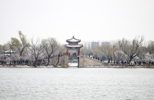 多图｜春雪过后的北京景色有多美？一起来看