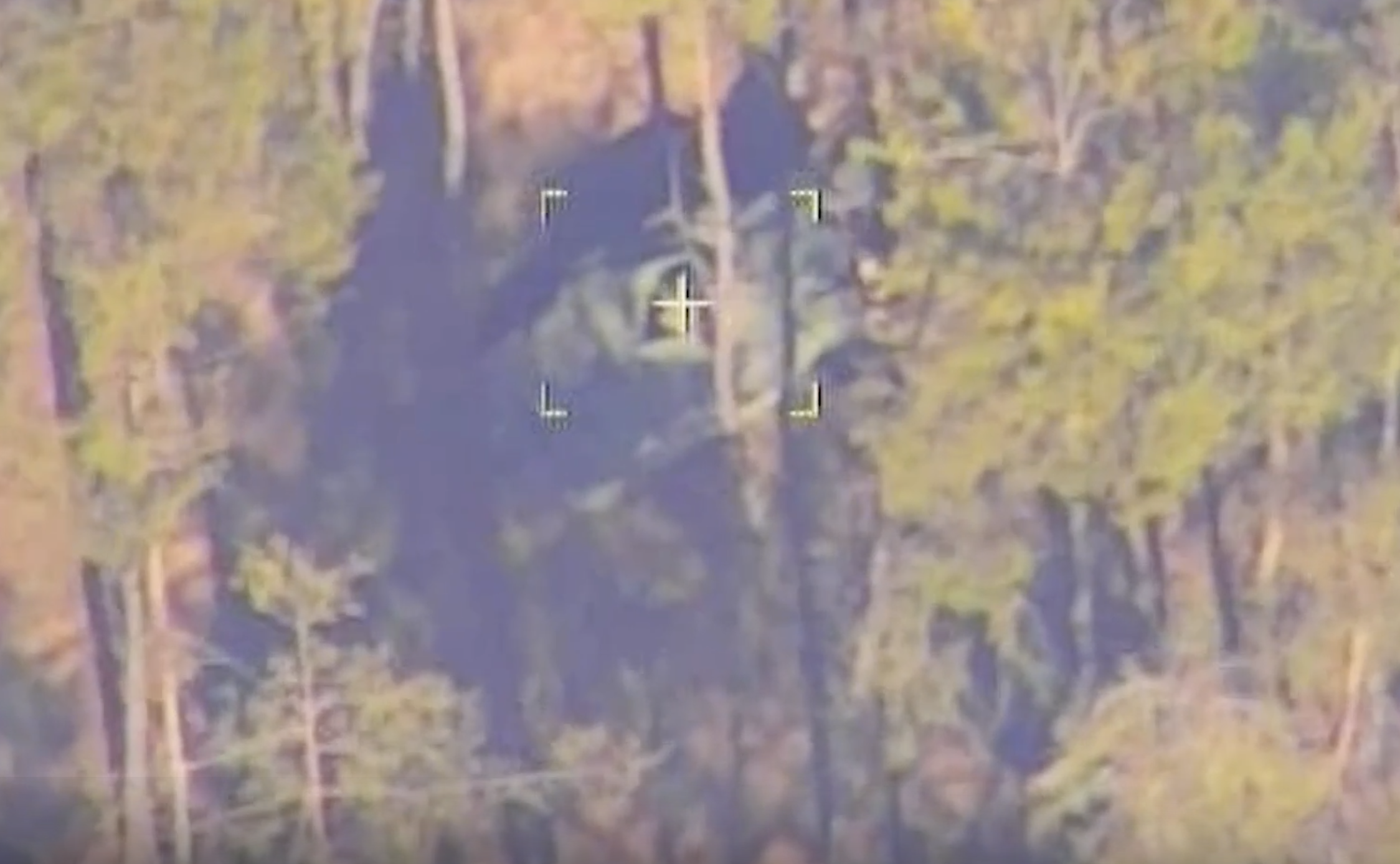 �����ڳ�ͻ�ڶ�ʮ���졹�����ڡ�����Ӫ���ƻ��������������⽻��Աʵʩ�ֲ�Ϯ��