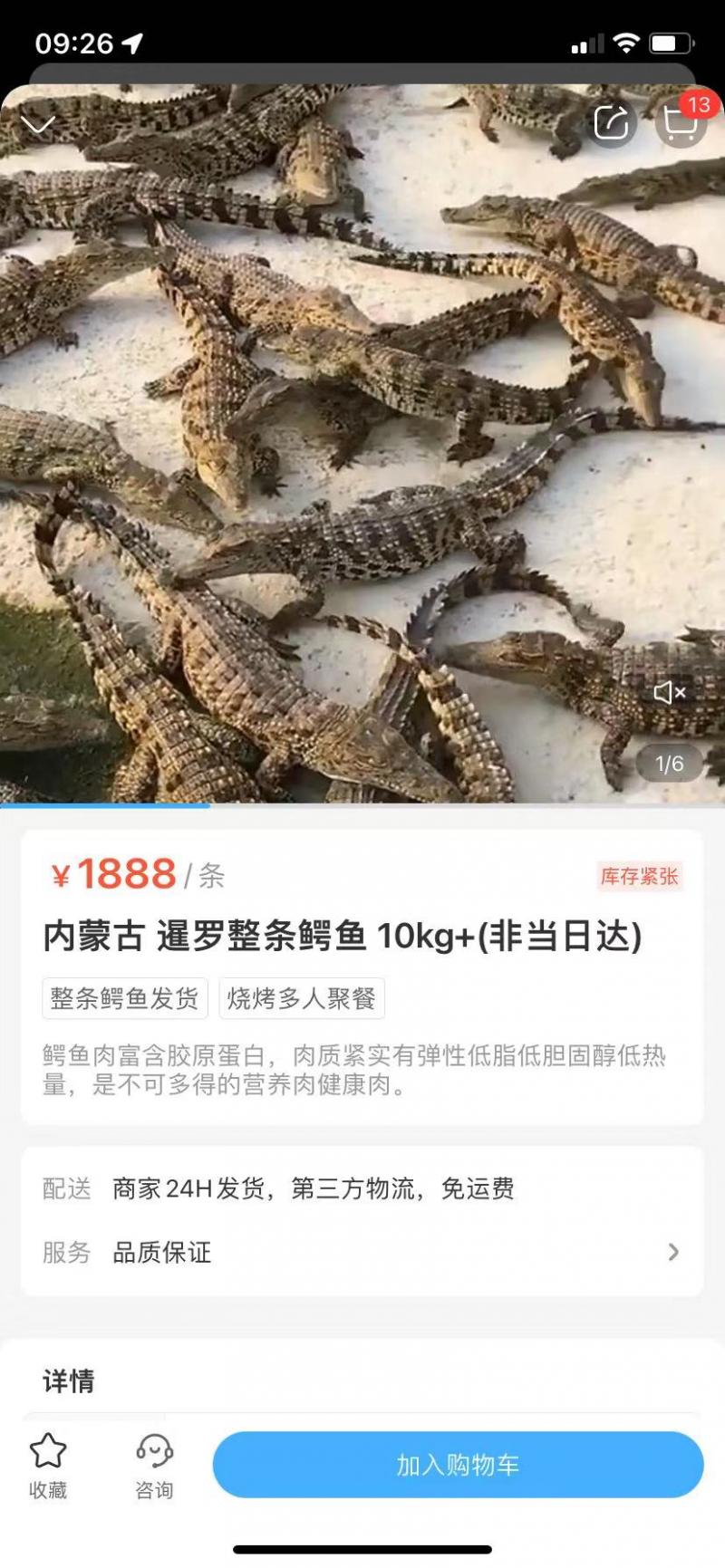 盒马回应所售鳄鱼被砍后复活