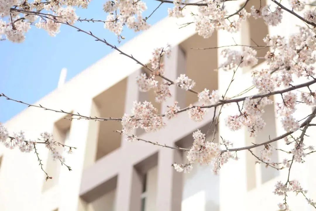 请查收！这封来自四川高校的春日来信