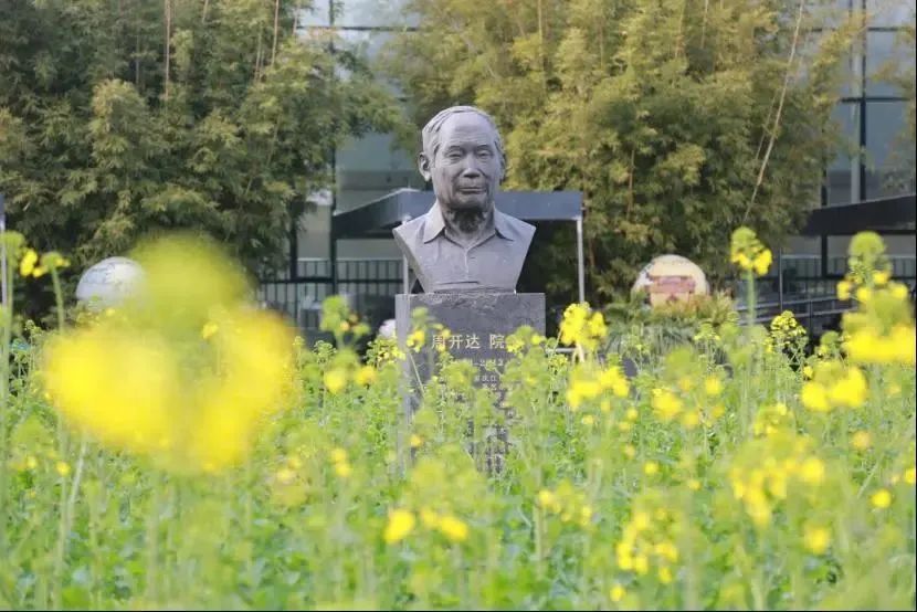 请查收！这封来自四川高校的春日来信