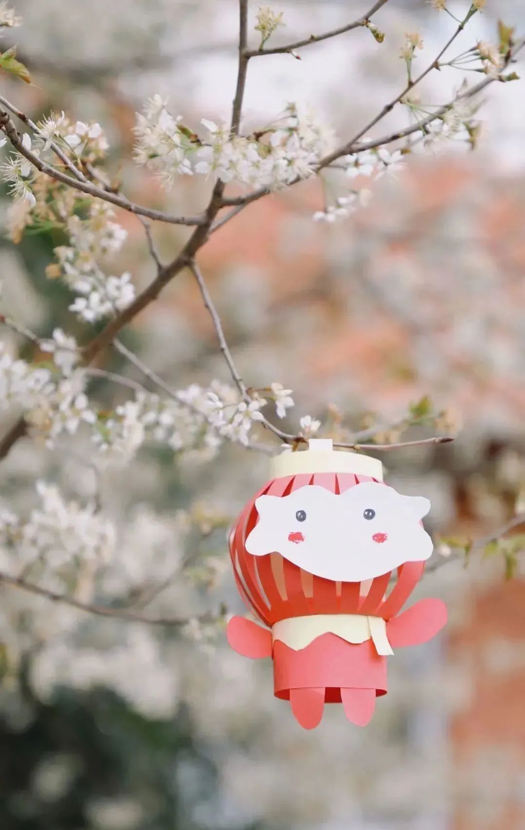 请查收！这封来自四川高校的春日来信