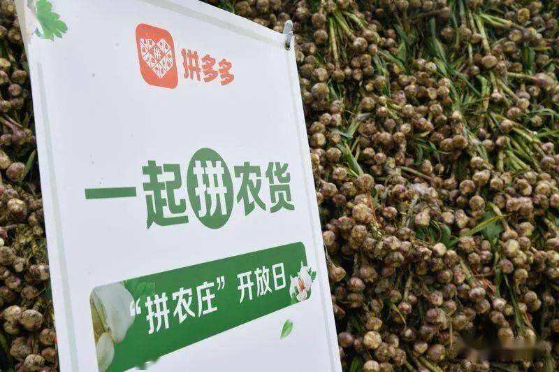 中國電商增長的新底色