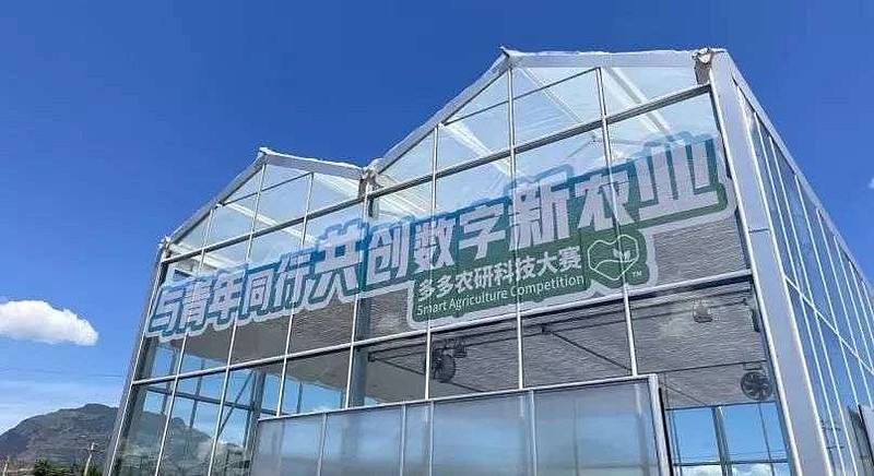 中國電商增長的新底色