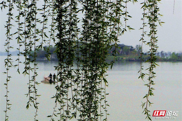 战斗吗？战争结束！在柳叶湖最美的时期，看到那条“小船破浪”