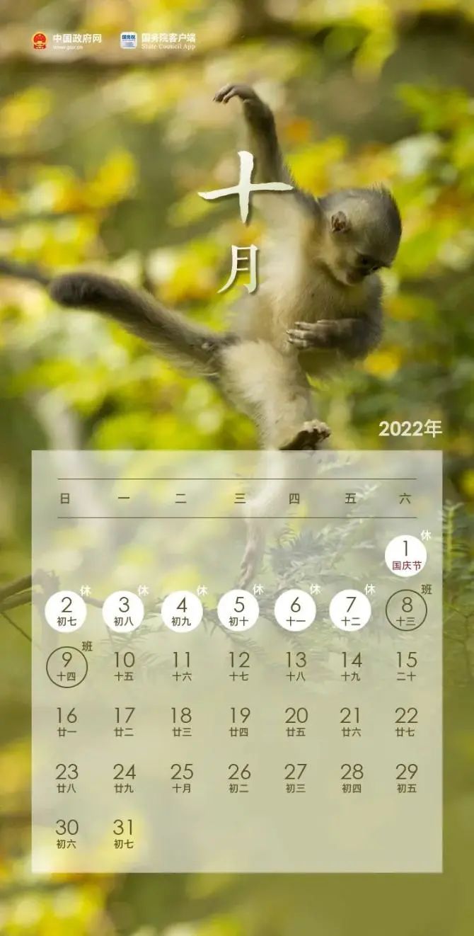 注意！下周上班时间有变？这三天高速公路免费