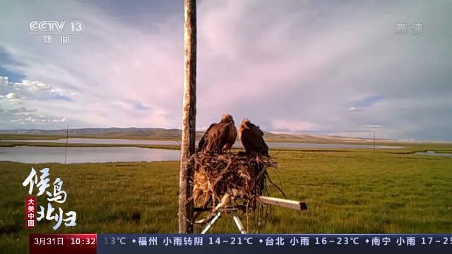 三江源地区(三江源，野生动物的家园)