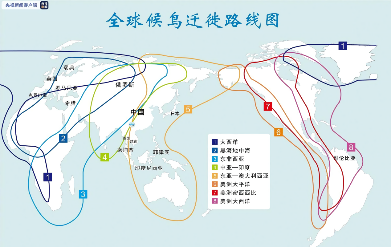 Իսġıۡѧ粻䵭