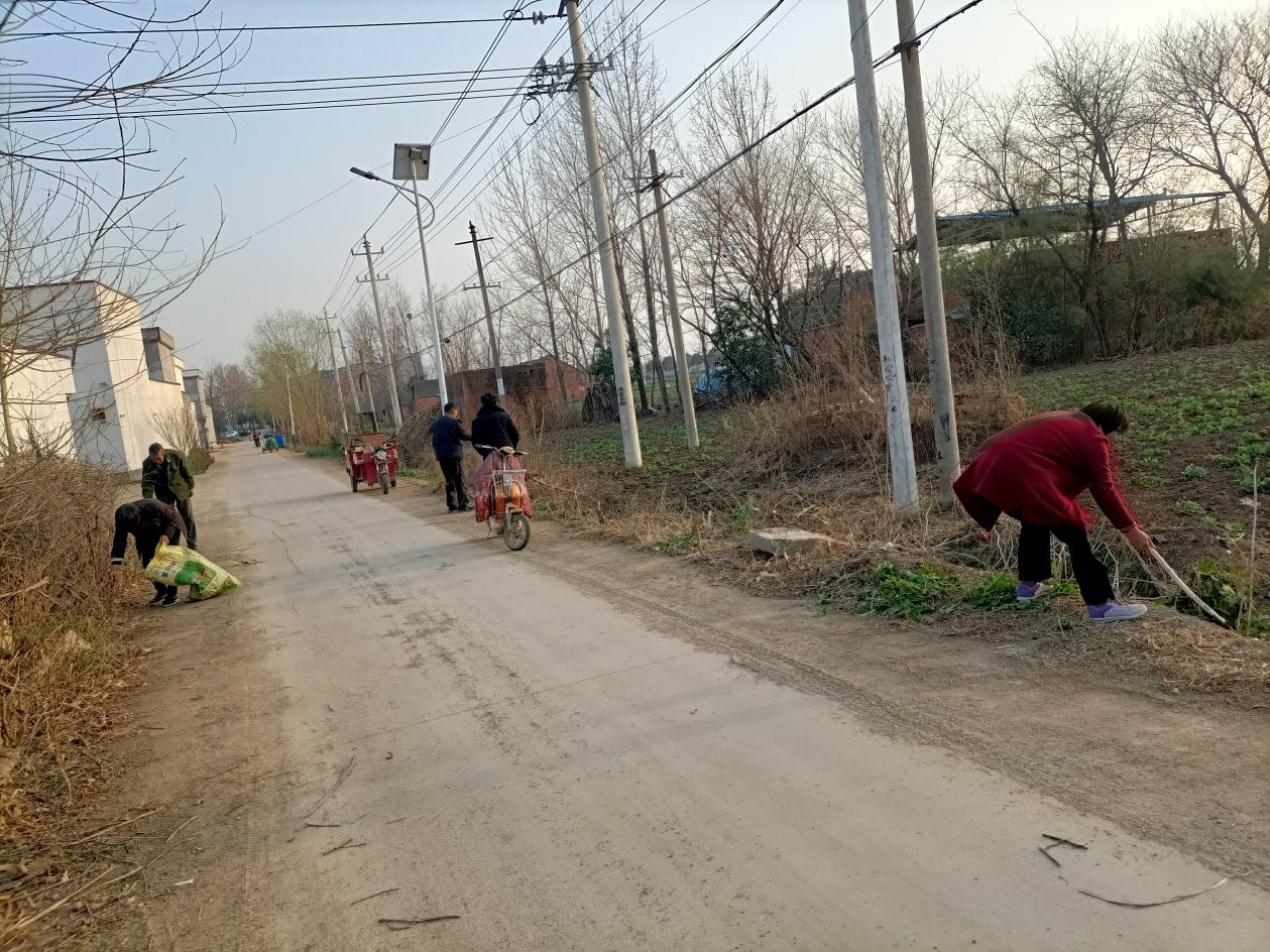 镇平县枣园镇扎实开展疫情防控期间人居环境 整治工作