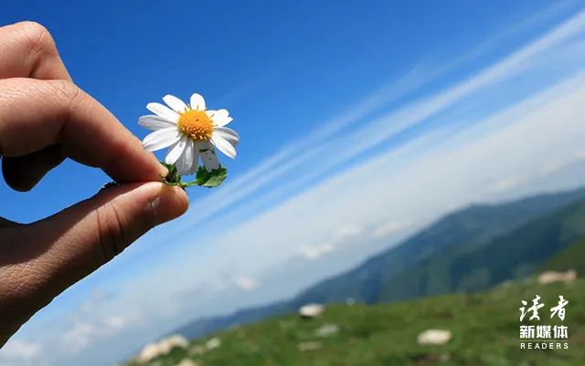 适合春天发朋友圈的诗句，浪漫又唯美