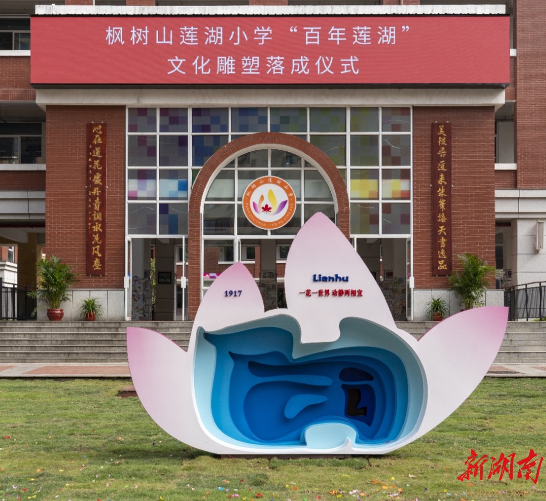 枫树山莲湖小学图片