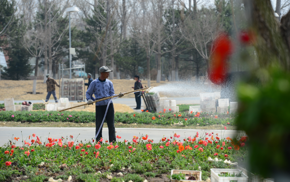 �������ã���԰��԰30���������������ţ����ڳ���һ����