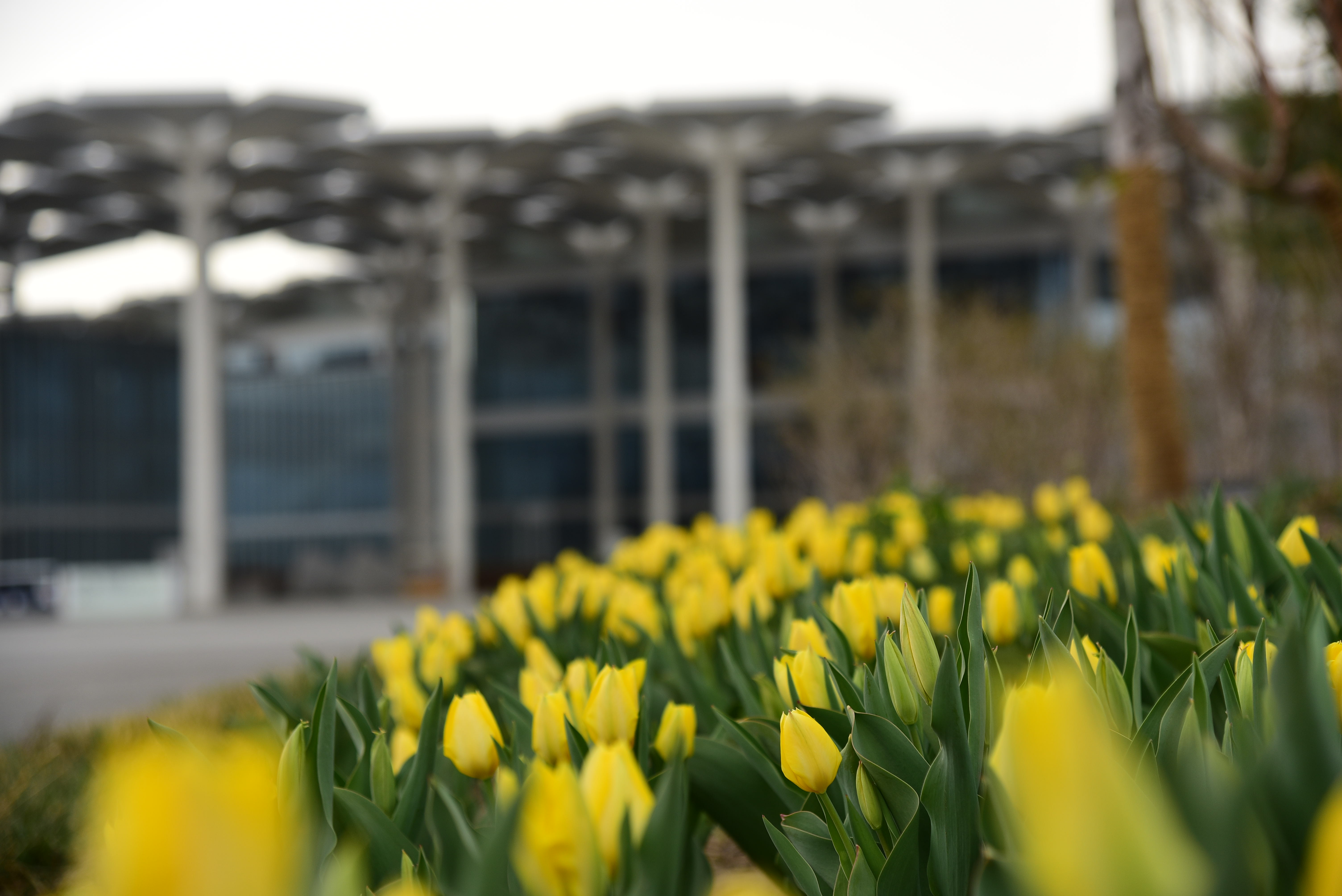 �������ã���԰��԰30���������������ţ����ڳ���һ����