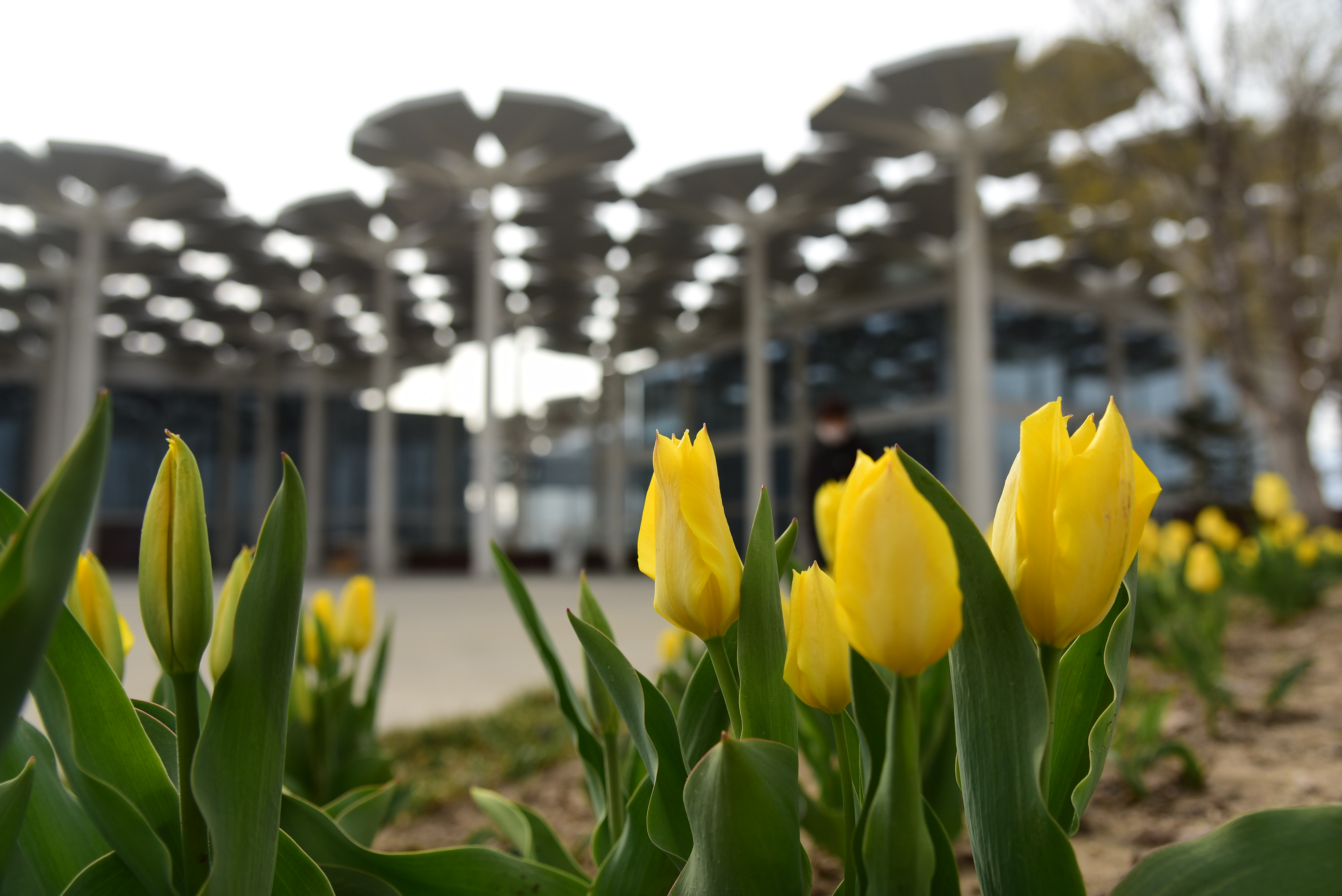 �������ã���԰��԰30���������������ţ����ڳ���һ����