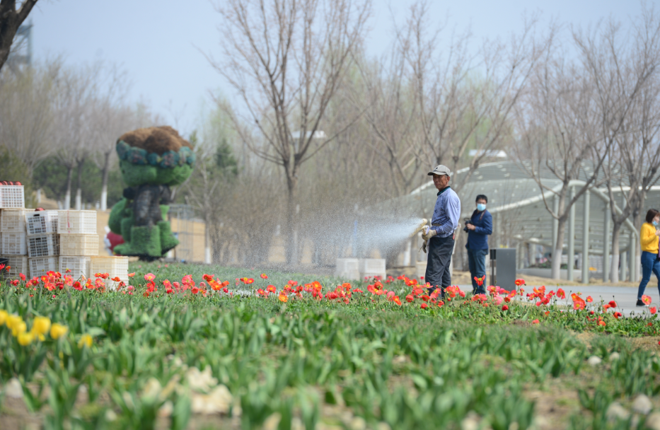 �������ã���԰��԰30���������������ţ����ڳ���һ����