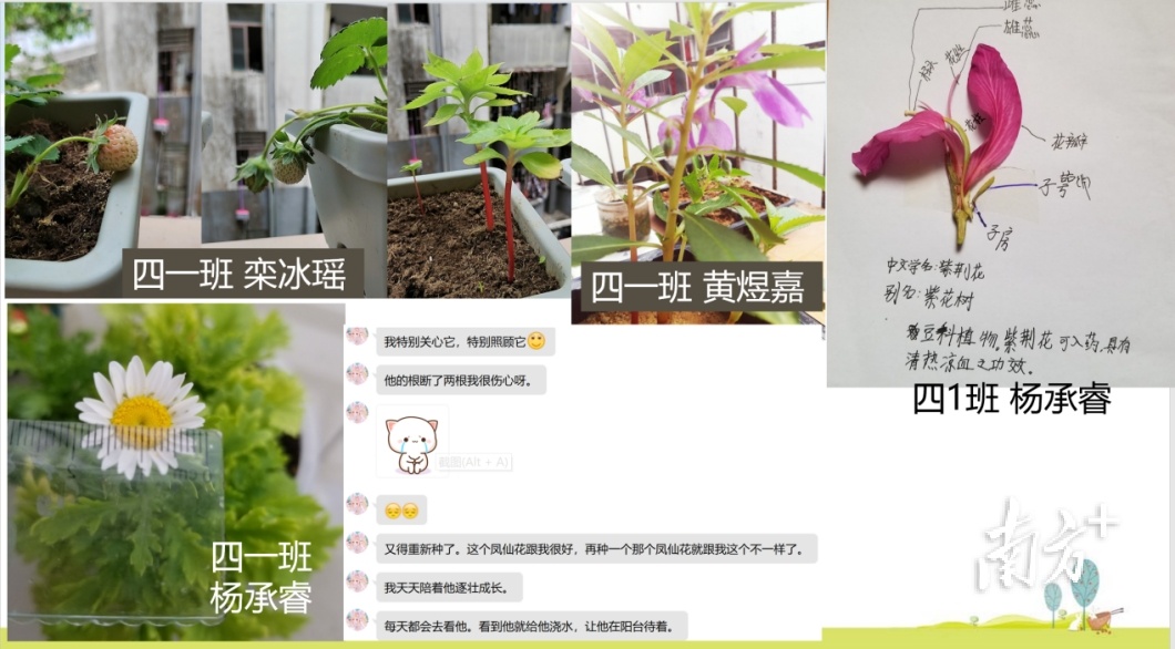 深圳海濤小學(xué)是公立還是私立?“六個(gè)聚焦”(圖4) 深圳海濤小學(xué)是公立還是私立?“六個(gè)聚焦”(圖4)