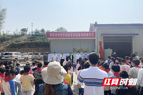 株洲市渌口区南洲镇乘霞垅小学有了自己的茶园(图2)