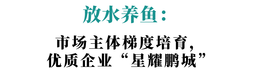 规上工业总产值连续三年全国居首，深圳制造发生了什么？
