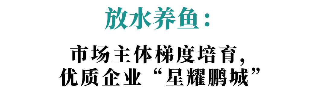 规上工业总产值连续三年全国居首，深圳制造发生了什么？|深圳经济观察