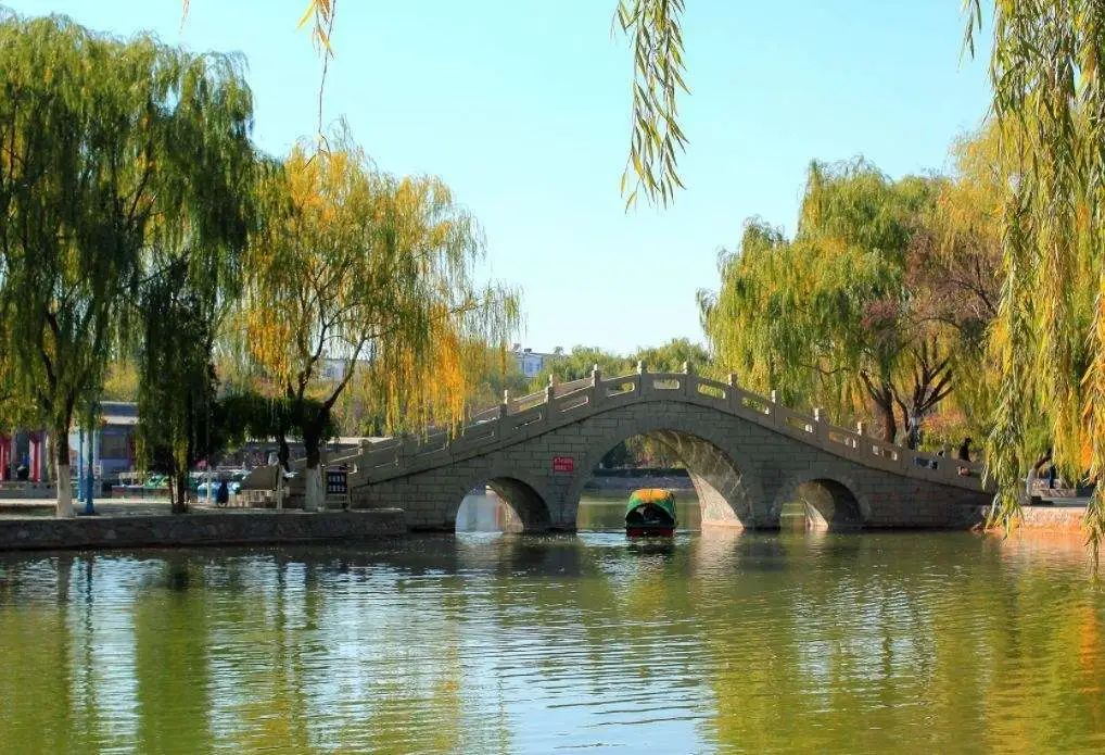 不能出门的春天，我们一起在线逛公园吧！