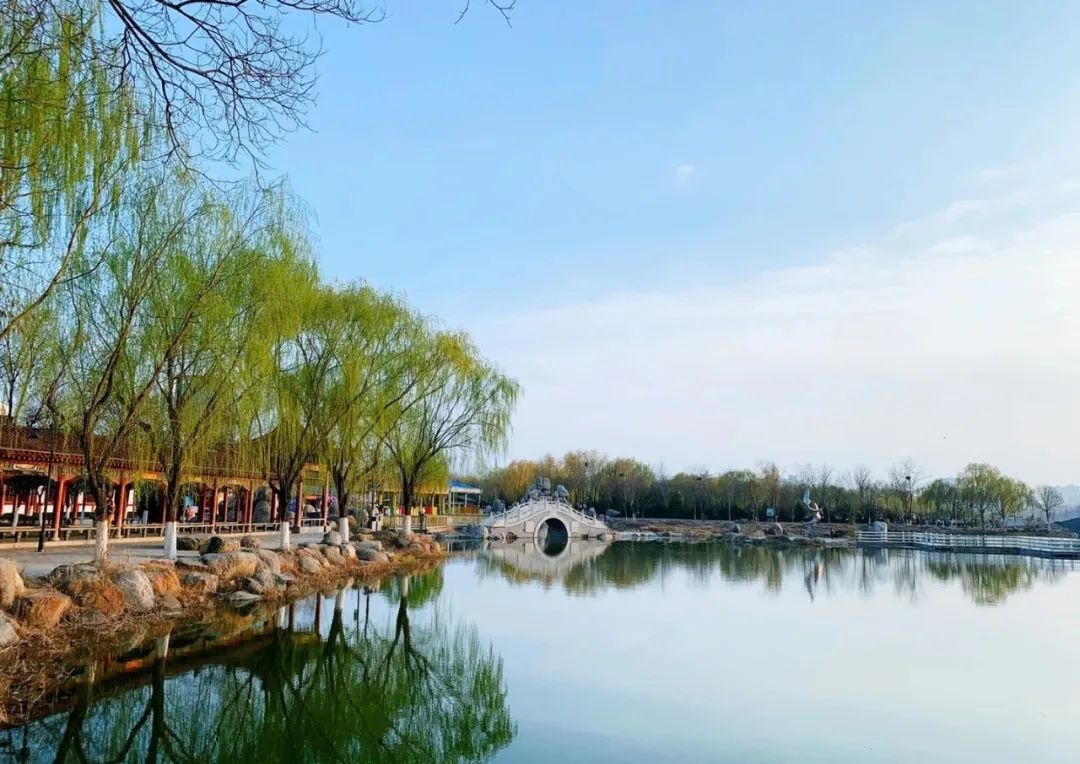 不能出门的春天，我们一起在线逛公园吧！
