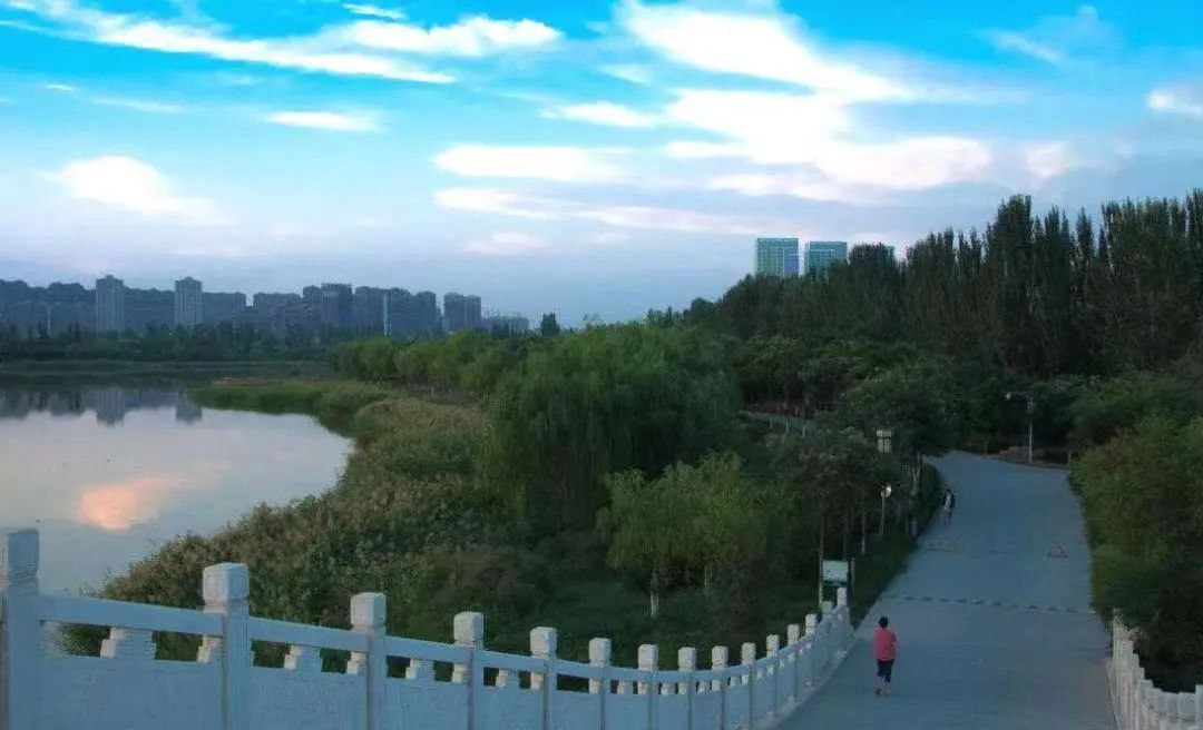 不能出门的春天，我们一起在线逛公园吧！