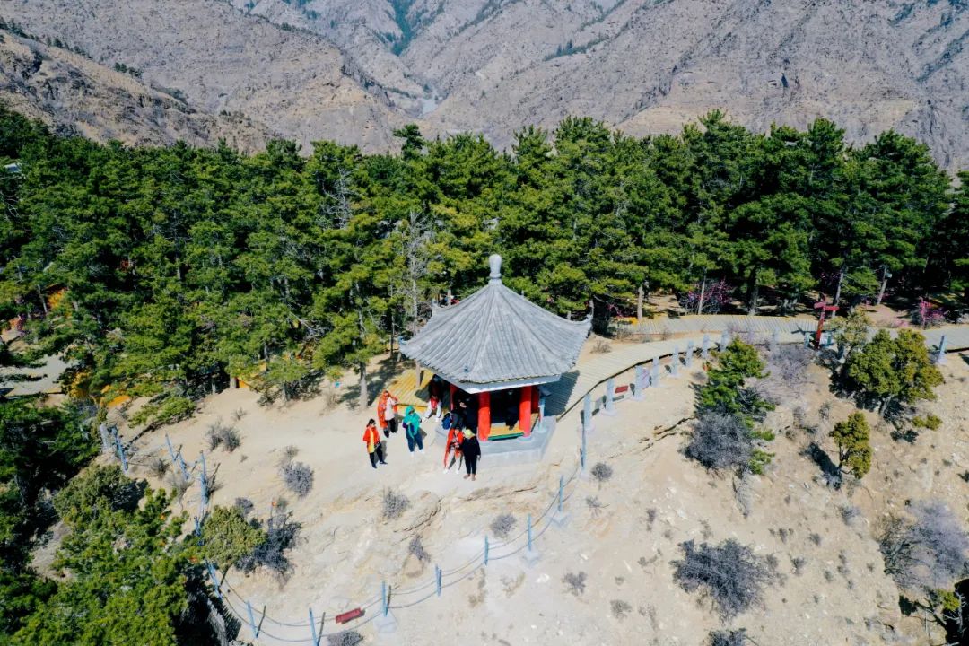 不能出门的春天，我们一起在线逛公园吧！