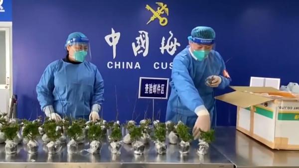 《生物安全法》实施一年了 哪些行为会危害生物安全你真的知道吗