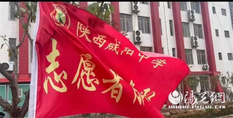 陕西咸阳中学志愿者在行动!春风绿校园(图1)