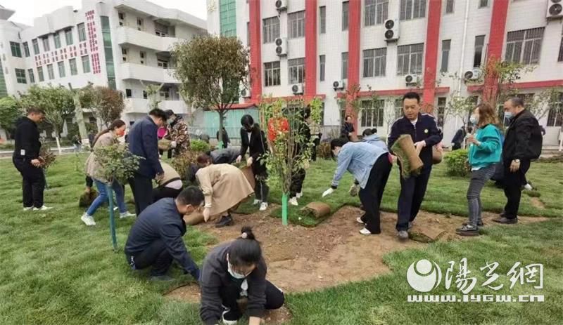 陕西咸阳中学志愿者在行动!春风绿校园(图5)