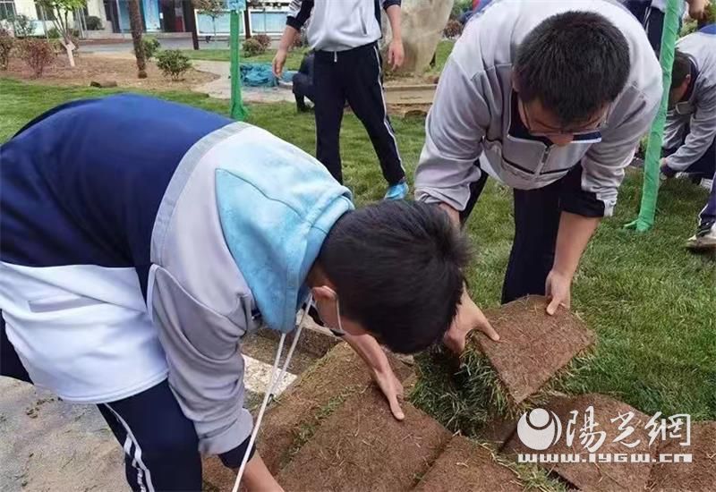 陕西咸阳中学志愿者在行动!春风绿校园(图6)