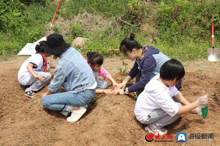 诸城市纺织街学校：多彩劳育课(图2)