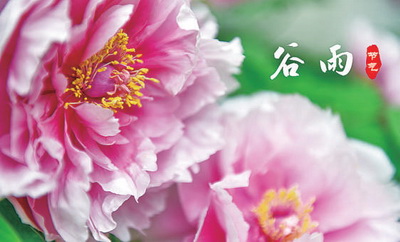 谷雨：一切美好奔赴而來(lái)