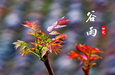 谷雨：一切美好奔赴而來(lái)
