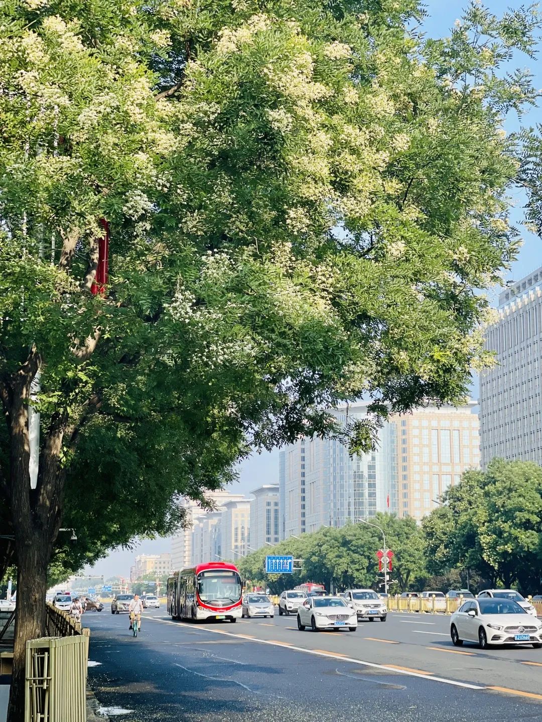 为何说长安街浓缩共和国历史？揭开“神州第一街”的秘密