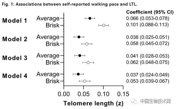 人步行速度（步行速度与端粒长度的因果关系）