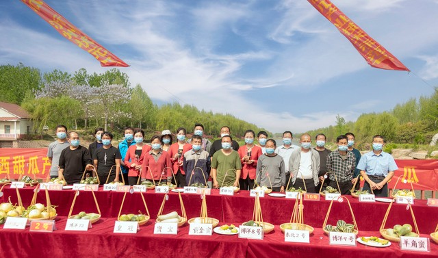 助力乡村振兴！临沂河东区第三届甜瓜网络文化节打响“梅埠甜瓜”品牌