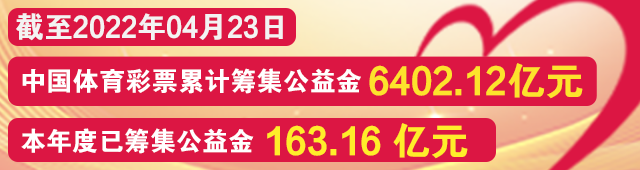 西甲和法甲有什么区别(【课堂】五大联赛之浅谈法甲)