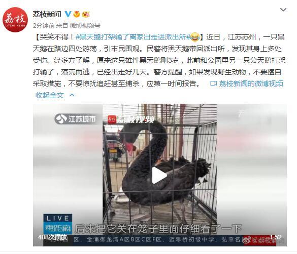 ��Ц���ã��������������ҳ��߽��ɳ���