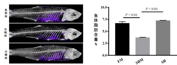 鱼类肠肝炎症的药物研究获进展