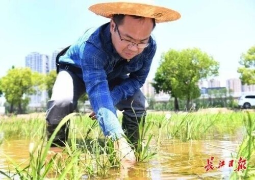 带着患病母亲上大学，毕业当老师把爱传递给更多的孩子……他们的青春闪闪发光