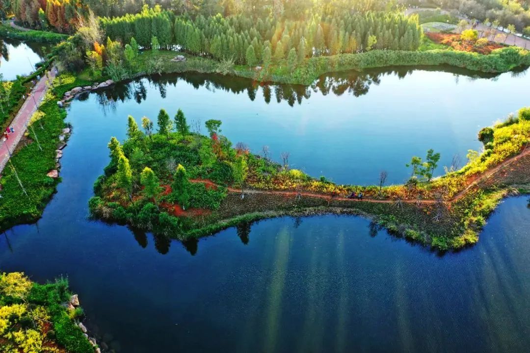 【奋进新征程 建功新时代·足迹】奋进担当的“昆明答卷”