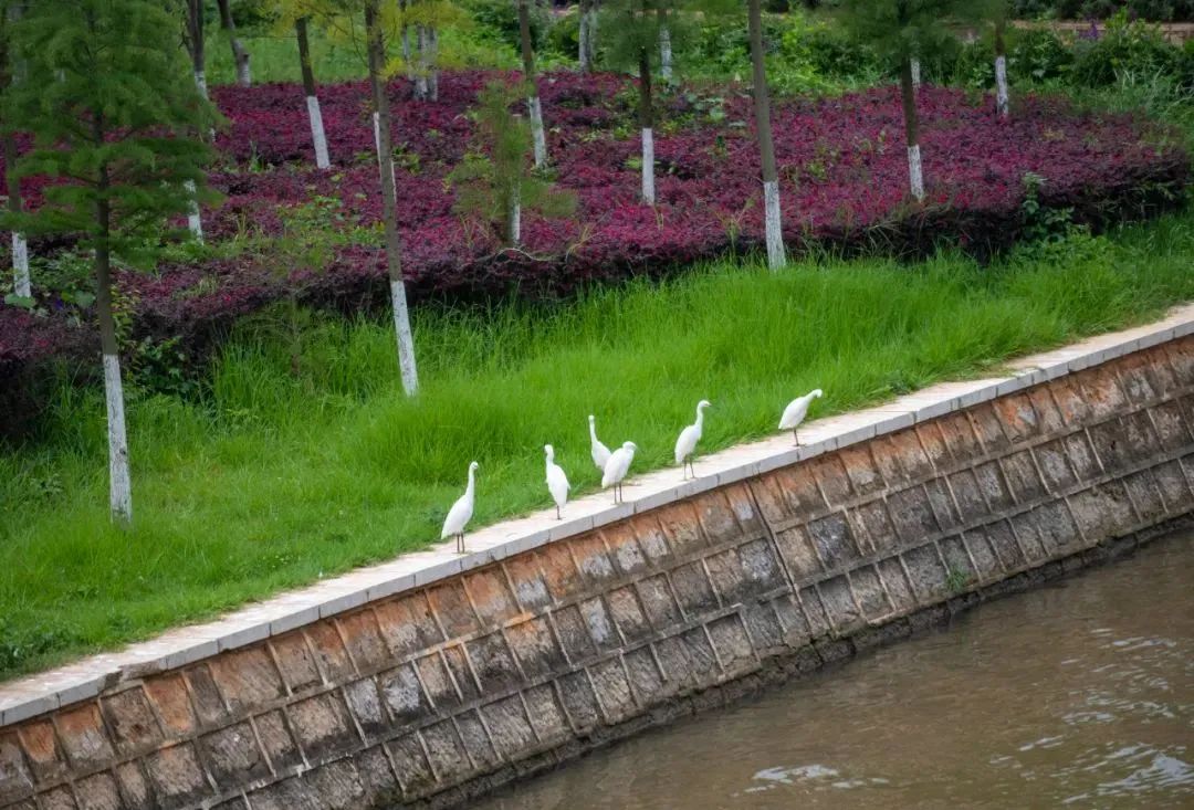 【奋进新征程 建功新时代·足迹】奋进担当的“昆明答卷”